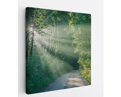 Saammp Canvas Schilderij - bos - Pad met zonsondergang - Landschap - Natuur - 40x40 - Foto op canvas - Wanddecoratie - Muurdecoratie Woonkamer - Slaapkamer decoratie - Canvas Print