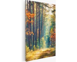 Saammp Canvas Schilderij -Bos - Zonlicht - Herfst - Landschap - Natuur - 60x90 - Foto op canvas - Wanddecoratie - Muurdecoratie Woonkamer - Slaapkamer decoratie - Canvas Print
