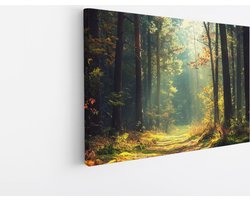 Saammp Canvas Schilderij - Botanisch - Bos - Herfstachtig - Landschap - Natuur - 150x100 - Foto op canvas - Wanddecoratie - Muurdecoratie Woonkamer - Slaapkamer decoratie - Canvas Print