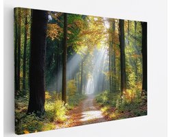 Saammp Canvas Schilderij - Botanisch - Bospad - Herfstachtig - Landschap - Natuur - 100x75 - Foto op canvas - Wanddecoratie - Muurdecoratie Woonkamer - Slaapkamer decoratie - Canvas Print