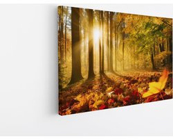 Saammp Canvas Schilderij - Herfstbladeren met zonsopgang - Landschap - Natuur - 120x80 - Foto op canvas - Wanddecoratie - Muurdecoratie Woonkamer - Slaapkamer decoratie - Canvas Print