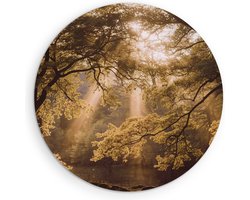 Saammp Forex Muurcirkel - Lichtval - Bomen - Landschap - Natuur - Ø 50 - Wandcirkel - Wanddecoratie Cirkel - Muurdecoratie Woonkamer - Slaapkamer decoratie - Rond Schilderij