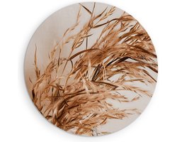 Saammp Forex Muurcirkel - Sierlijke Pampasgrassen - Natuur - Abstract - Ø 50 - Wandcirkel - Wanddecoratie Cirkel - Muurdecoratie Woonkamer - Kantoor Decoratie