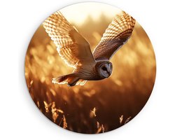 Saammp Forex Muurcirkel - Vliegende Uil - Zonsondergang - Dieren - Ø 40 - Wandcirkel - Wanddecoratie Cirkel - muurdecoratie Woonkamer - Slaapkamer decoratie - Rond Schilderij