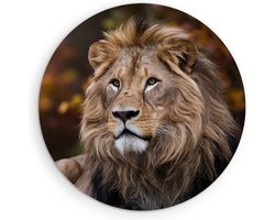 Saammp Muurcirkel Hout - Leeuw tussen de herfst bladeren - Dieren - Natuur - Ø 40 - Wandcirkel - Wanddecoratie Cirkel - Muurdecoratie Woonkamer - Slaapkamer decoratie - Rond Schilderij