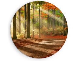 Saammp Muurcirkel Hout - Pad door het bos - Herfst - Zon - Landschap - Natuur - Ø 50 - Wandcirkel - Wanddecoratie Cirkel - Muurdecoratie Woonkamer - Slaapkamer decoratie - Rond Schilderij