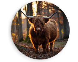 Saammp Muurcirkel Hout - Schotse Hooglander Koe in een bos - Dieren - Portret - Ø 70 - Wandcirkel - Wanddecoratie Cirkel - muurdecoratie Woonkamer - Slaapkamer decoratie - Rond Schilderij