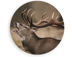 Saammp Muurcirkel Hout - Schreeuwend Hert met groot gewei - Natuur - Dieren - Ø 90 - Wandcirkel - Wanddecoratie Cirkel - Muurdecoratie Woonkamer - Slaapkamer decoratie - Rond Schilderij