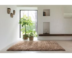 Safavieh Rhapsody Shag Collection – Vloerkleed – Tapijt – geweven – wol – eco – duurzaam - hoogpolig - modern - Lichtbruin – 120x170