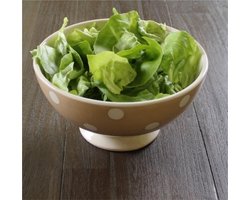 Salade serveerschaal |Groenteschaal Stip | Taupe