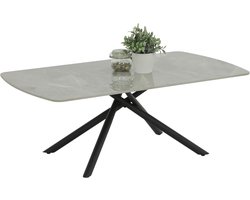 Salontafel Fred - Koffietafel steen - Woonkamer inrichten - Gepolijst steenblad - 120 x 68 cm - Marmergrijs