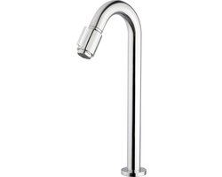 Saqu Essential 2.0 Fonteinkraan - 20 cm Hoge Uitloop - Chroom - Toiletkraan - Koudwaterkraan - WC kraan