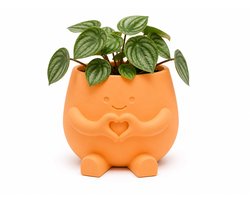 Schattige Bloempot met Hart – Abrikoos Oranje Plantenpot met Gezicht – Decoratieve Bloempot voor Vetplanten, Cactus & Kamerplanten – 8,3 cm - 3D print
