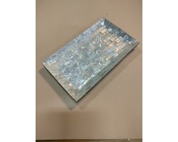 schelpen schaal schelp schelpen tray schelp schaal schelp  sierschaal schelpen bakje