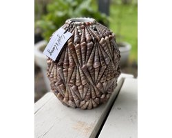 Schelpenvaas - Kleine schelpen - Light & Living - bruin/wit