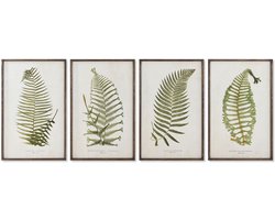 Schilderij Home ESPRIT Vaatplant Cottage 45 x 2,5 x 70 cm (4 Stuks)