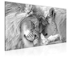 Schilderij Leeuwen Liefde - Modern Fleece Canvas Wanddecoratie voor Huiskamer