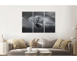 Schilderij - Moeder en baby olifant, 3 luik, 120x80cm, wanddecoratie