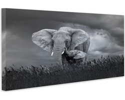 Schilderij - Moeder en baby olifant, Zwart-Wit, 2 maten, Premium print