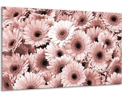 Schilderij Op Canvas Gerbera, Bloemen - Bruin, Rood - 120x70cm 1Luik - Foto Op Canvas - GroepArt 6000+ Schilderijen 0p Canvas Art Collectie - Wanddecoratie - Woonkamer - Slaapkamer - Canvas Print