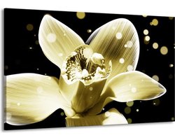 Schilderij Op Canvas - Groot -  Iris - Geel, Zwart - 140x90cm 1Luik - GroepArt 6000+ Schilderijen Woonkamer - Schilderijhaakjes Gratis