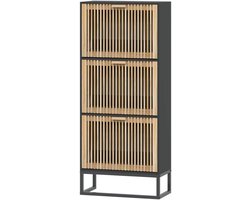 Schoenenkast - Opbergrek schoenen - Schoenen Opbergen - Glad Oppervlak - 52x25x120 cm - Zwart