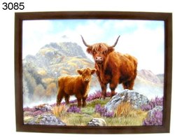 Schootkussen Schotse hooglander