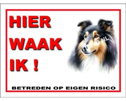 Schotse Collie 3 - Met 4 Gaatjes + 4 Pluggen + 4 RVS Schroeven