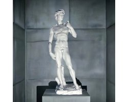 Sculpture Standbeeld David Michelangelo 50Cm | Klassieke Kunst | Italiaanse Renaissance Decor | Kunst voor Huis & Kantoor | Antieke Stijl Buste | 3D-geprint