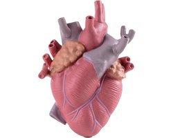 Seletti Love In Bloom Hart Vaas Color