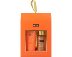 Sence Collection Essential Self Tanning Duo Set Solar Energy 1 set