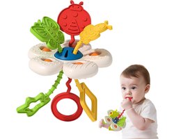 Sensorisch kauwspeeltje voor baby's van 6-12-18 maanden, zacht siliconen popper trekkoord reisspeeltje voor autostoel, vroege ontwikkeling van fijne motoriek en zicht, educatief cadeau voor pasgeboren baby's, peuters, jongens en meisjes tot 1 jaar