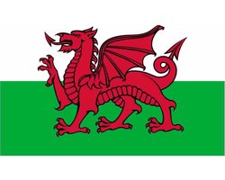 Senvi Printwear - Flag Wales - Grote Wales vlag - Gemaakt Van 100% Polyester - UV & Weerbestendig - Met Versterkte Mastrand - Messing Ogen - 90x150 CM - Fair Working Conditions