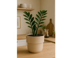 Serinova Kuple Bloempot - Ronde Pot - Binnen en Buiten - Crème - Duurzaam - 70% Gerecycled - Met Drainage