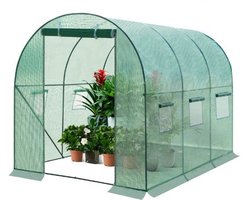 Serre van Folie - Kweekkas - Broeikas - 300x200x190 cm - Voor Alle Seizoenen - Met Deur en 6 Ramen - Groen