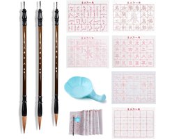 Set van 10 Chinese Calligraphy Penselen met 3 Sumi Penselen, 6 Water Schrijfdoeken en 1 Kom voor Beginners en Kunstenaars