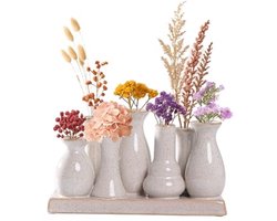 Set van 10 Mini Keramische Bloomenvazen | Antiek Wit, Decoratieve Vazen voor Bloemstukken