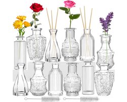 Set van 12 Glazen Knopvazen Mini-Flessen voor Bloemen en Decoratie