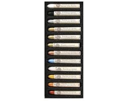 Set van 12 iriserende oliepastels in verschillende kleuren