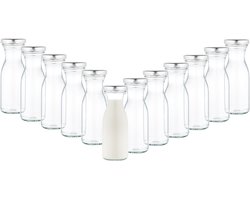 Set van 12 karaffen voor flessen met brede hals 250 ml + To 53 deksel zilver