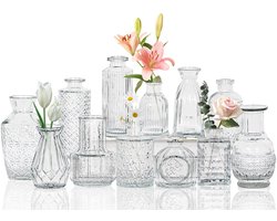 Set van 12 kleine glazen vazen, voor tafeldecoratie, bruiloft, receptie, thuis, vintage flessen, transparant, decoratieve glazen vazen ​​met deksels (12, transparant)