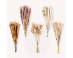 Set van 130 Stukken Gedroogd Pampasgras voor Bohemian Decoratie in Huis en op Bruiloften, Natuurlijke Planten voor Interieur en Evenementen