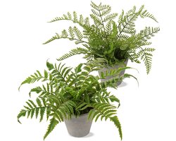 Set van 2 Decoratieve Kunstplanten in Potten - Realistische Nep Varen voor Binnen Decoratie
