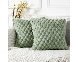 Set van 2 decoratieve namaak bont kussenhoezen saliegroen voor bank, 40cm x 40cm 16x16 inch, effen vierkante sierkussenhoezen, zacht gezellig luxe, geschikt voor bank, bed en woonkamer