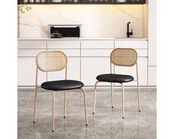 Set van 2 eetkamerstoelen - Moderne, eenvoudige vrijetijdsstoel met vier metalen steunpoten - Rotan vrijetijdsstoel - Woonkamer en slaapkamerstoel - Zwart