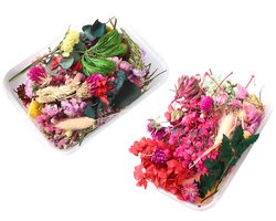 Set van 2 Gemengde Gedroogde Bloemen voor Knutselprojecten – Echte Geperste Bloemen voor Kaarsen, Scrapbooking en Woondecoratie (Diverse Kleuren)