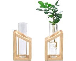 Set van 2 Glazen Hydrocultuur Vazen met Houten Standaard voor Planten en Decoratie