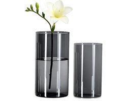 Set van 2 Grijze Acrylaat Cilindervazen, Duurzame Schokbestendige Vazen voor Bloemstukken, Tafeldecoratie en Bruiloften (20 x 10 en 25 x 12 cm)