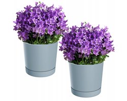 Set van 2 grijze plantenbakken 12,9cm met schotel