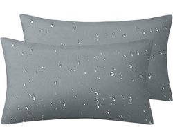 Set van 2 Grijze Waterdichte Sierkussens Buiten - 30x50 cm - Terraskussens voor Tuin en Bank